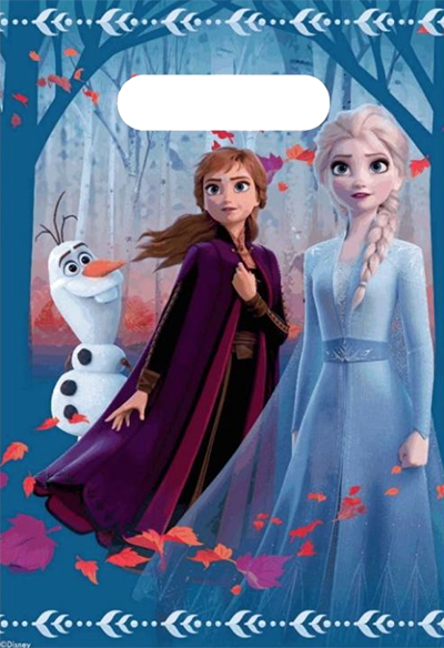 Frozen Party Loot Bags | Auckland