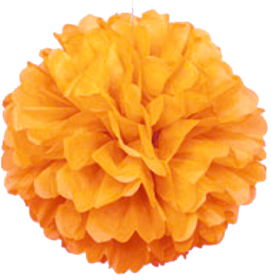 Orange Puff Ball Tissue Decorations