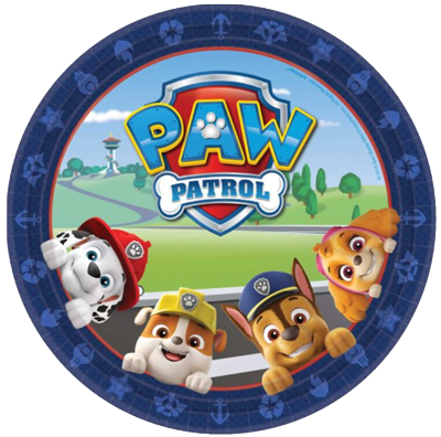 PAW PATROL LARGE PLATES NZ