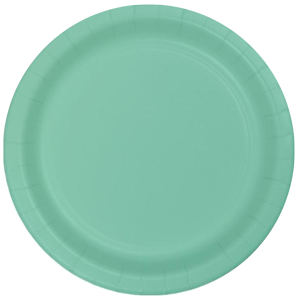 Mint Party Tableware and supplies | NZ