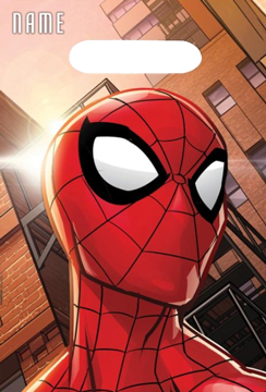 Spiderman Party Loot Bags pk8
