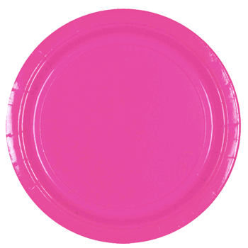 Bright Pink Party Plates Large NZ