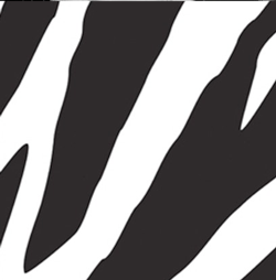 Zebra Jungle Party napkins