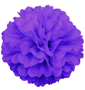 Purple Puff Ball Pom Pom